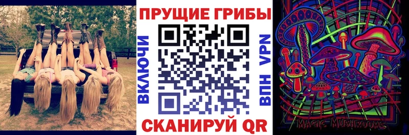где купить наркоту  Гагарин  Галлюциногенные грибы мицелий 